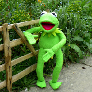 Be a happy Kermit