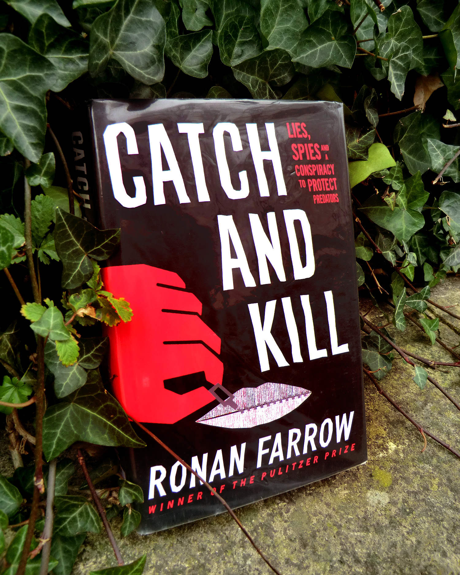 Catch and Kill by Ronan Farrow