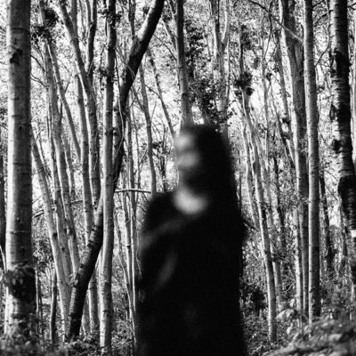 Psychological thrillers